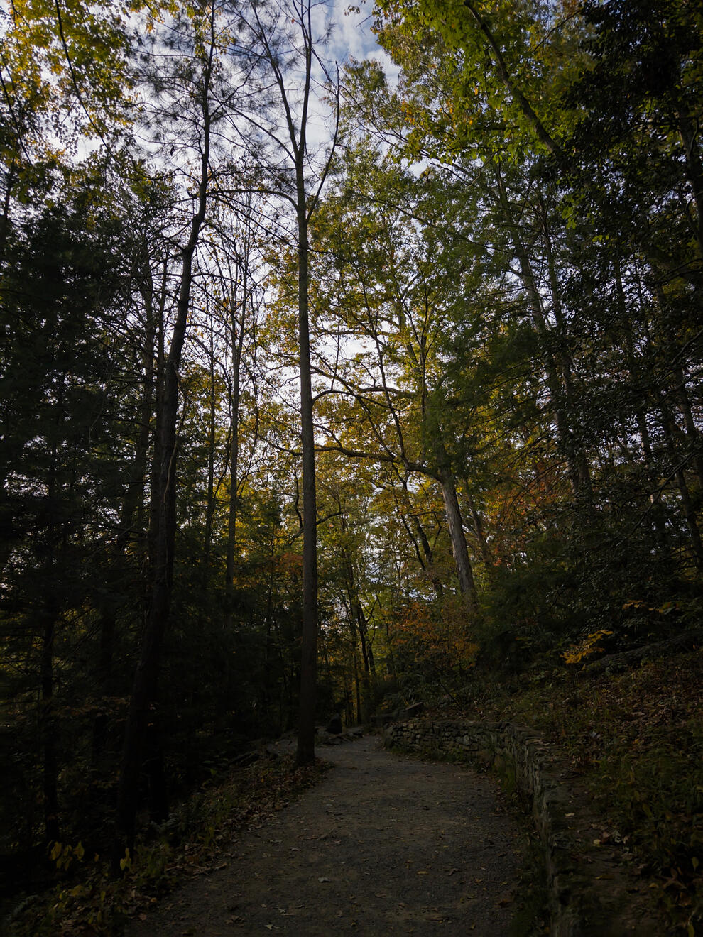 Asheville, NC, US. Shot on iPhone 16 Pro (using Project Indigo).