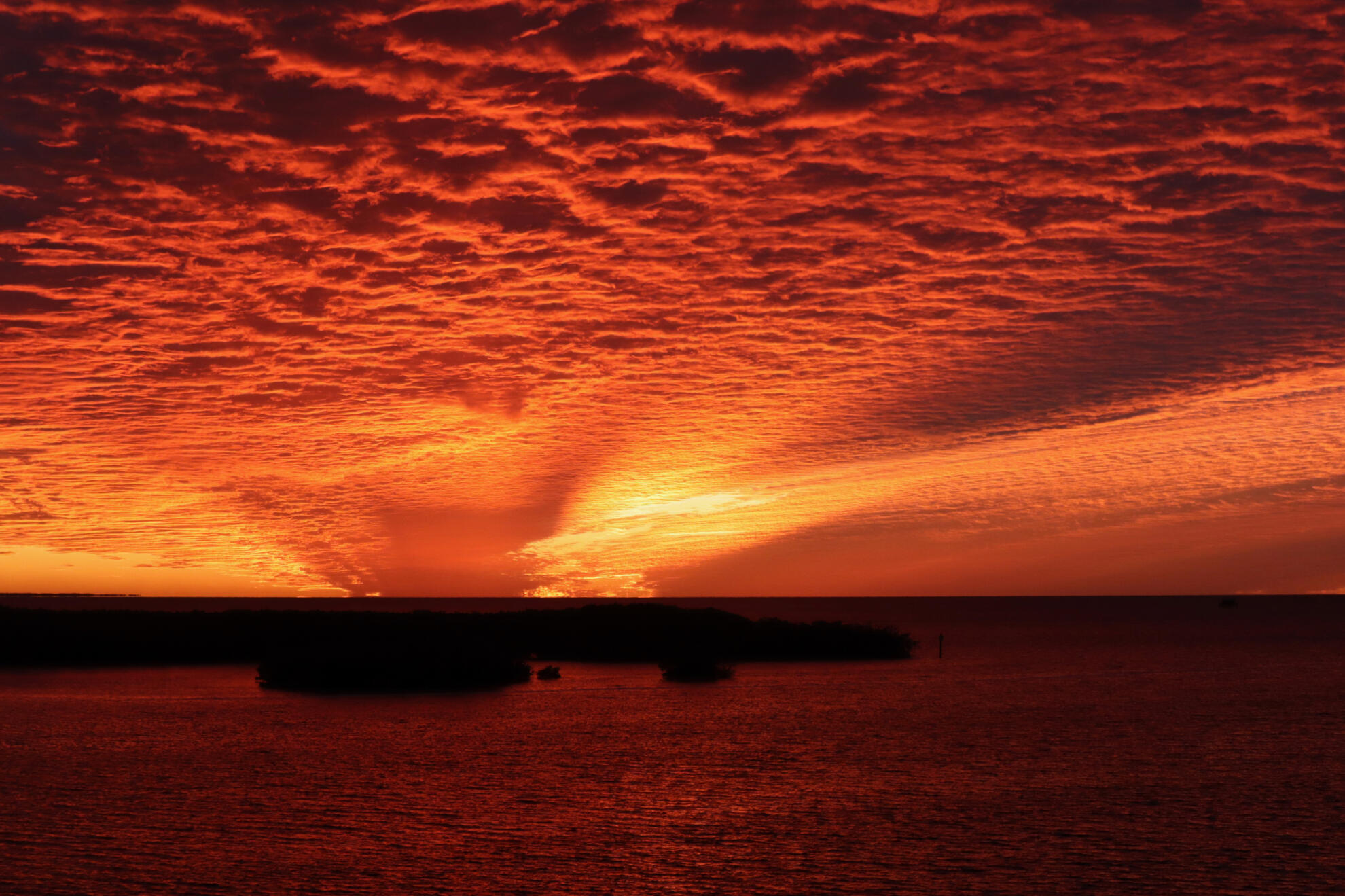 New Port Richey, Florida, US. Shot on Canon EOS M50 Mark I.