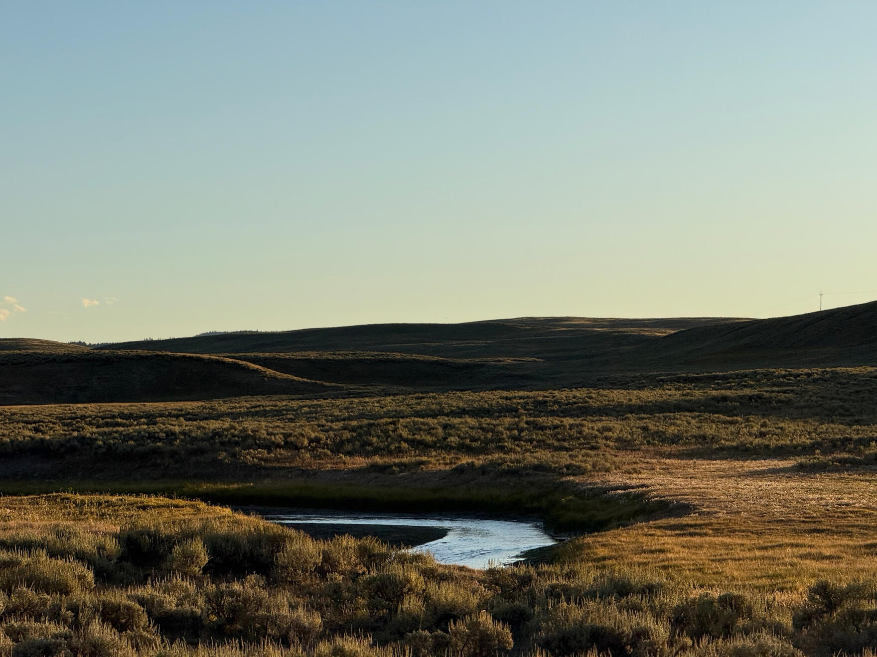 Yellowstone National Park, Wyoming, US. Shot on iPhone 16 Pro.