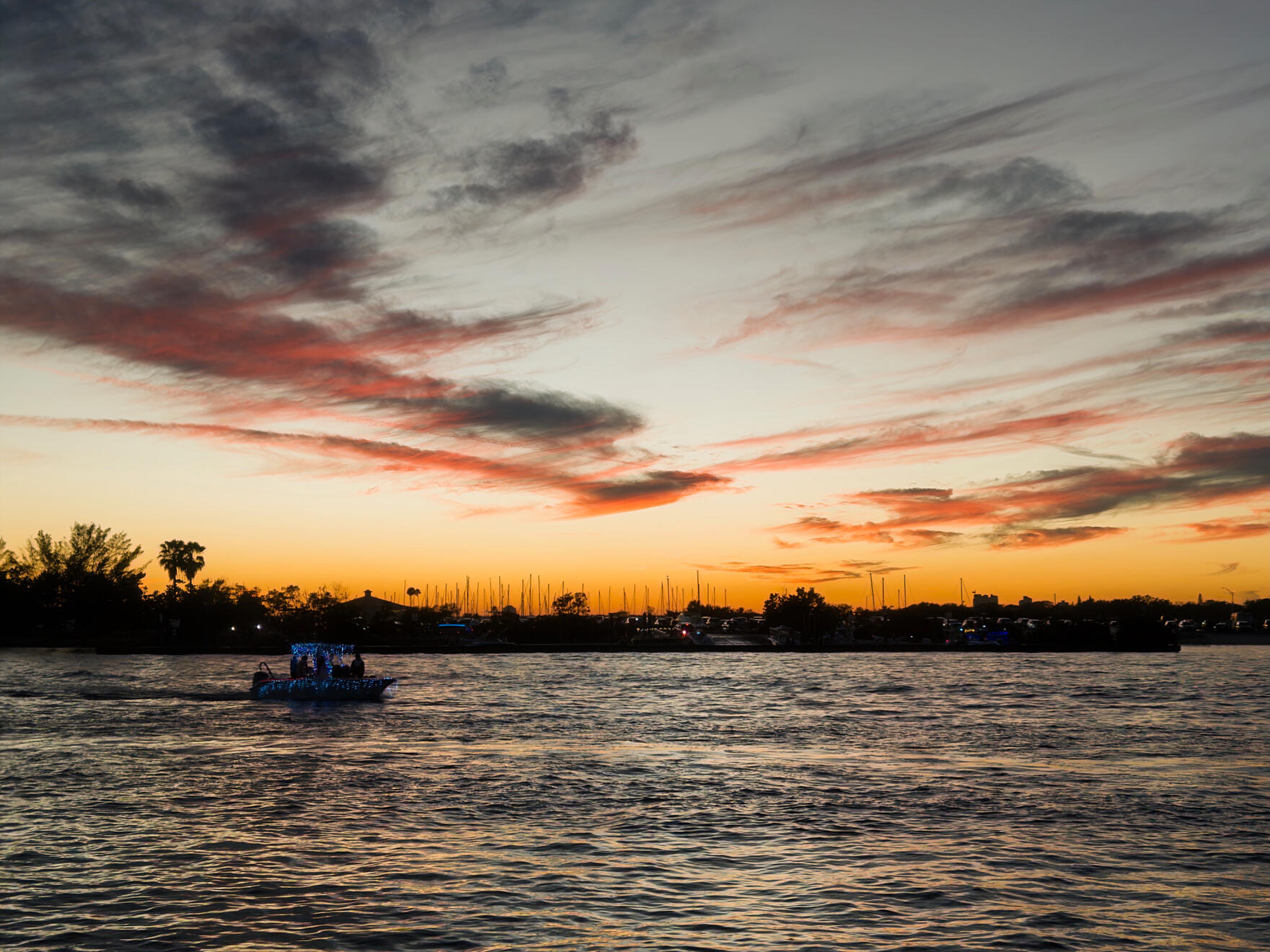 Tampa, Florida, US. Shot on iPhone 16 Pro (using Project Indigo).