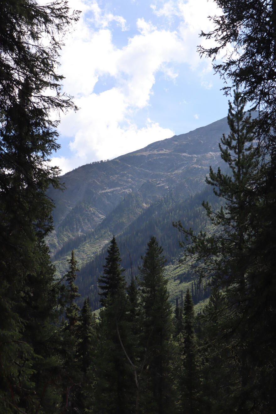 Kootenay National Park, BC, Canada. Shot on Canon EOS M50 Mark I.