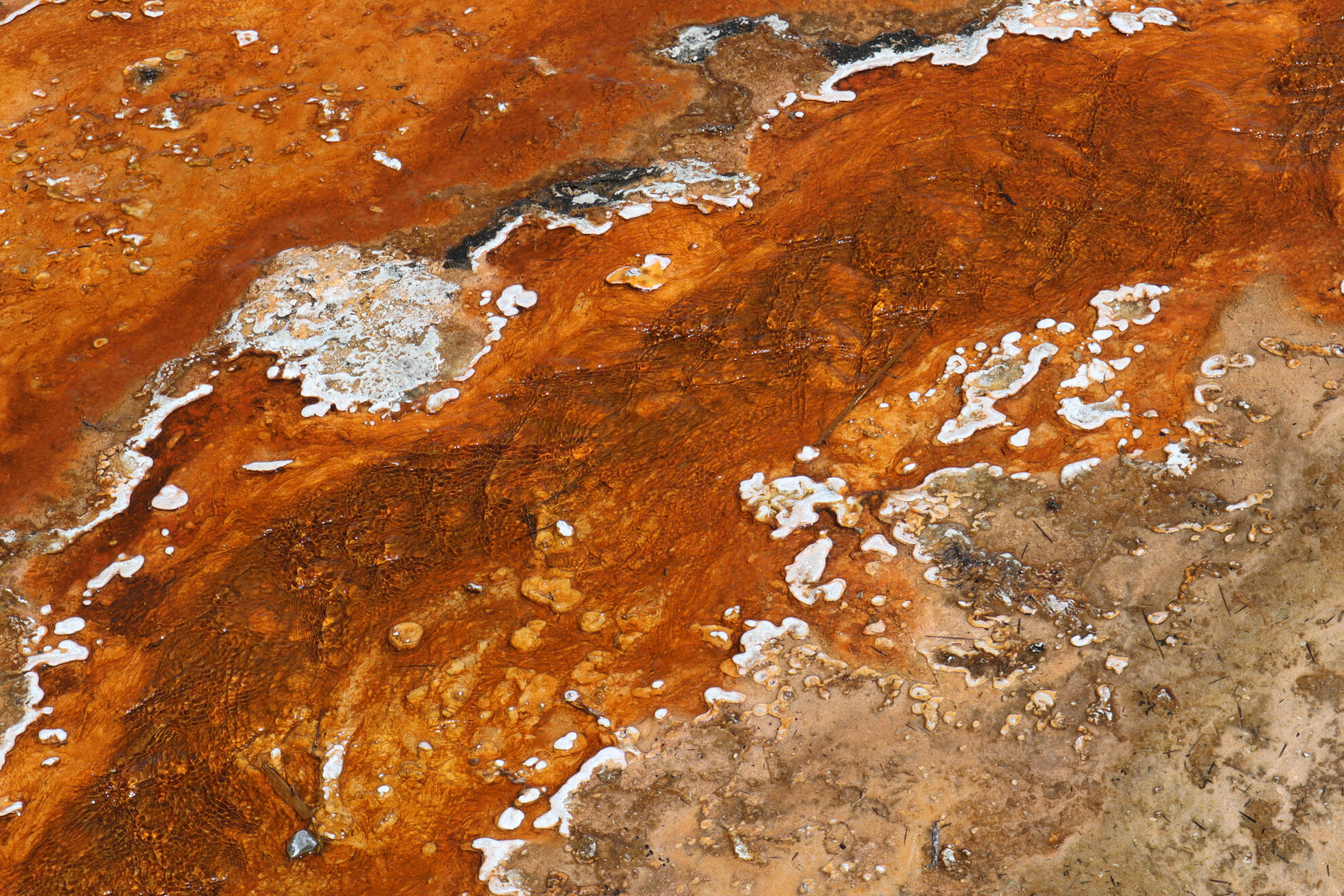 Yellowstone National Park, Wyoming, US. Shot on Canon EOS M50 Mark I.