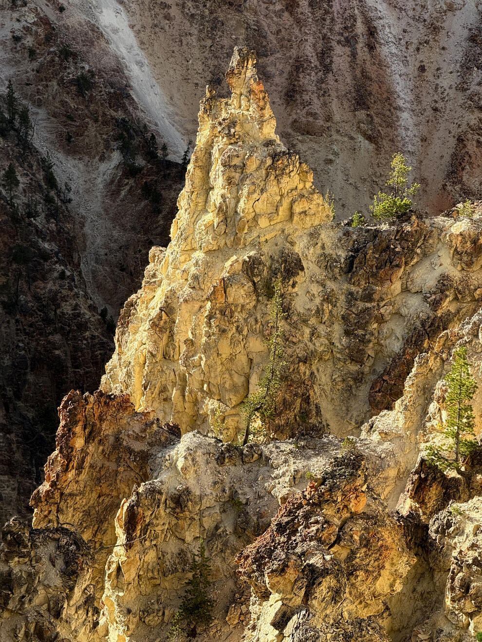 Yellowstone National Park, Wyoming, US. Shot on iPhone 16 Pro.