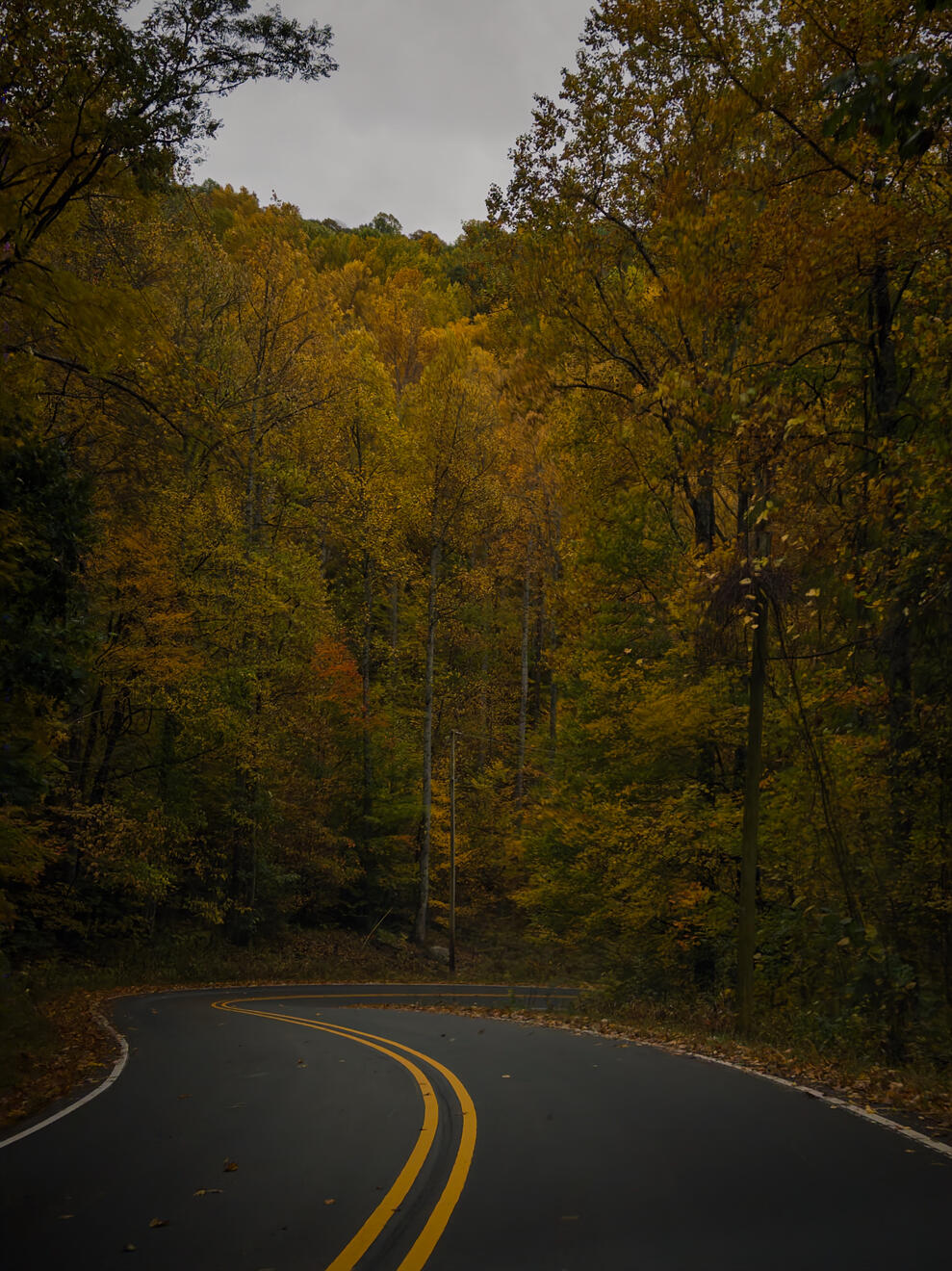 Near Glenville, NC, US. Shot on iPhone 16 Pro (using Project Indigo).