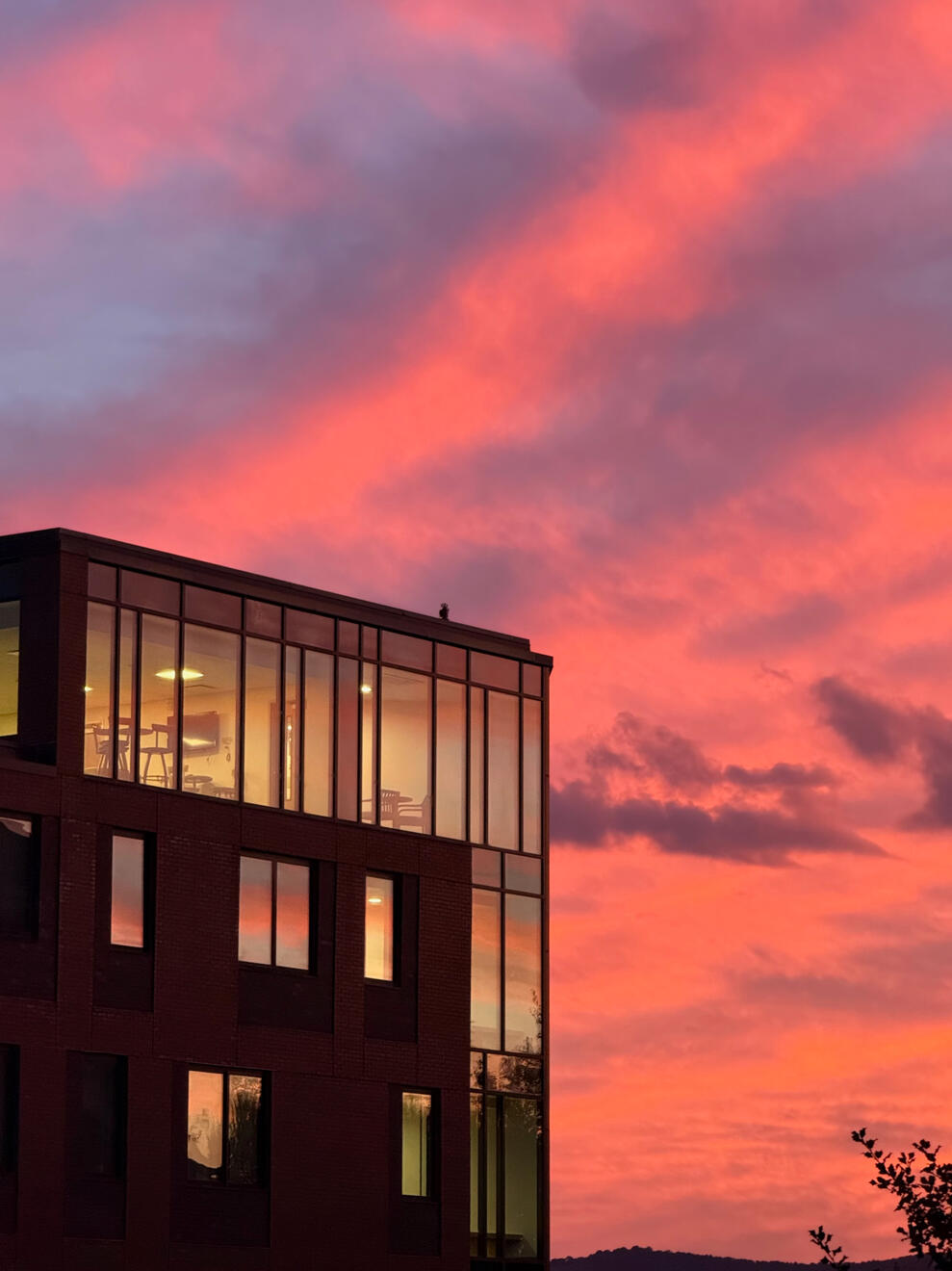 Asheville, NC, US. Shot on iPhone 16 Pro.