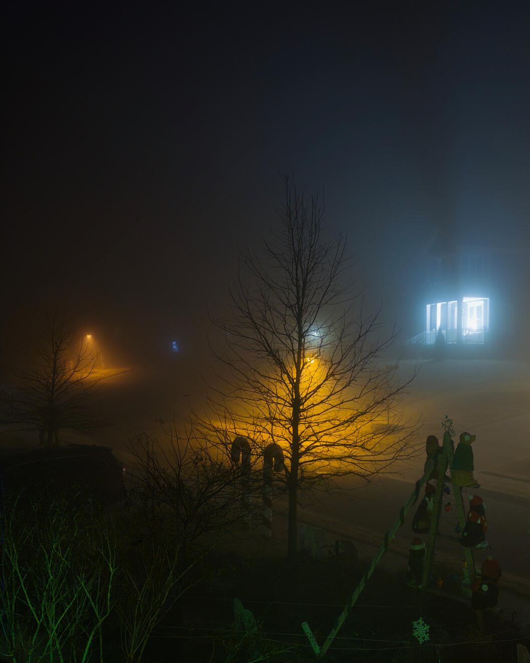 NC, US. Shot on iPhone 16 Pro (using Project Indigo).