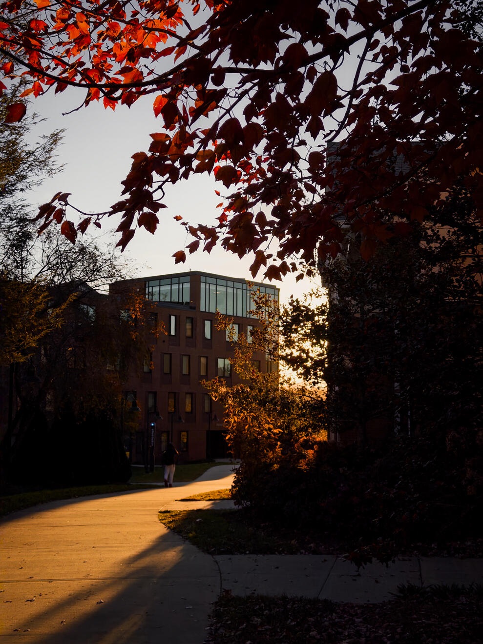 Asheville, NC, US. Shot on iPhone 16 Pro (using Project Indigo).