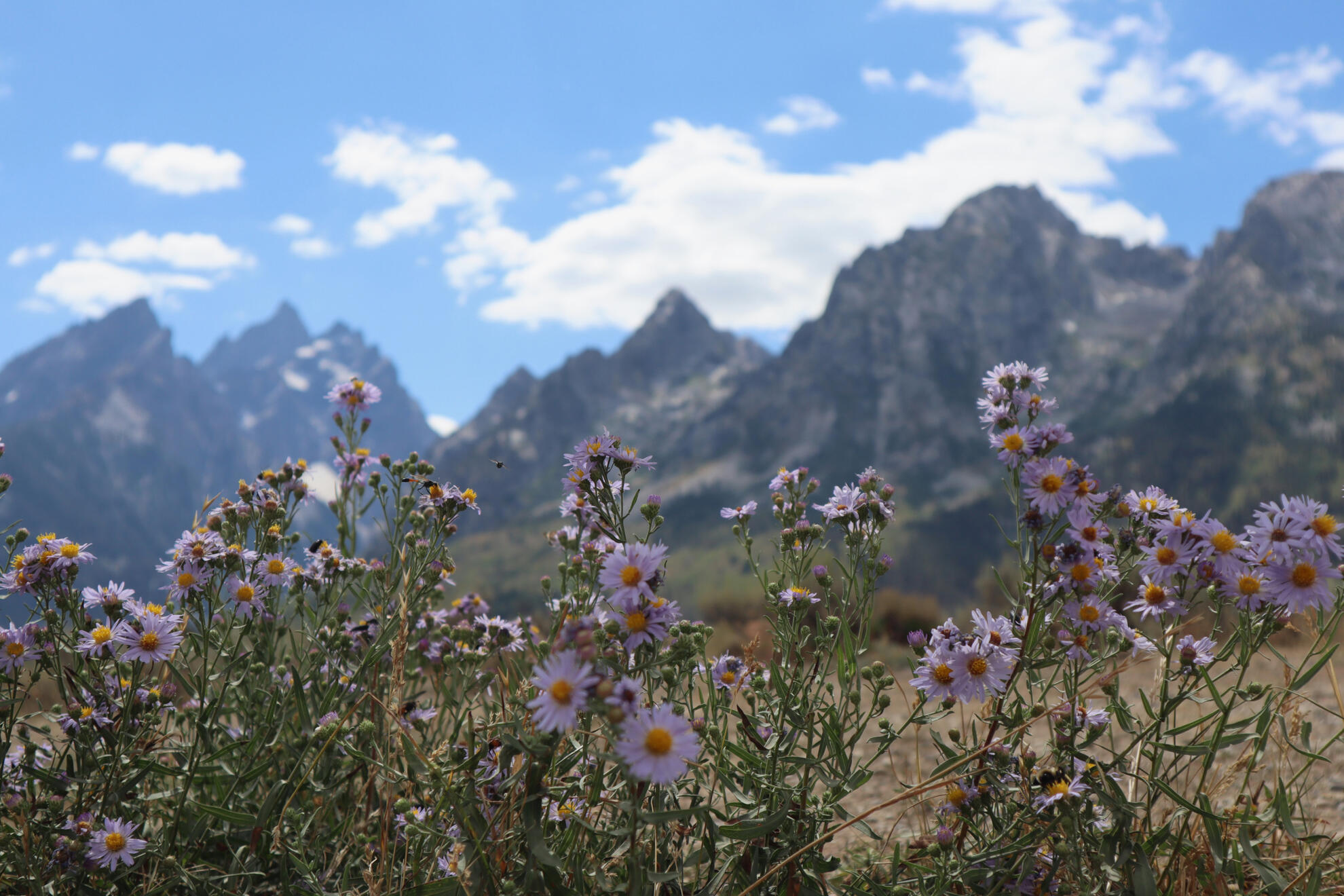 Grand Teton National Park, Wyoming, US. Shot on Canon EOS M50 Mark I.