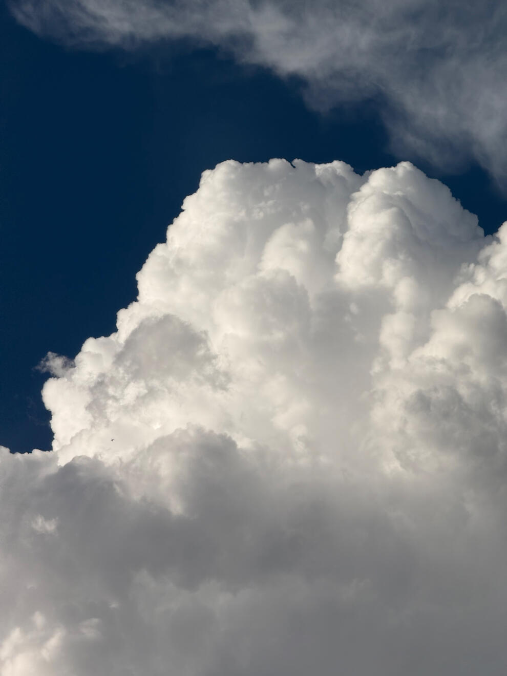 Asheville, NC, US. Shot on iPhone 16 Pro.