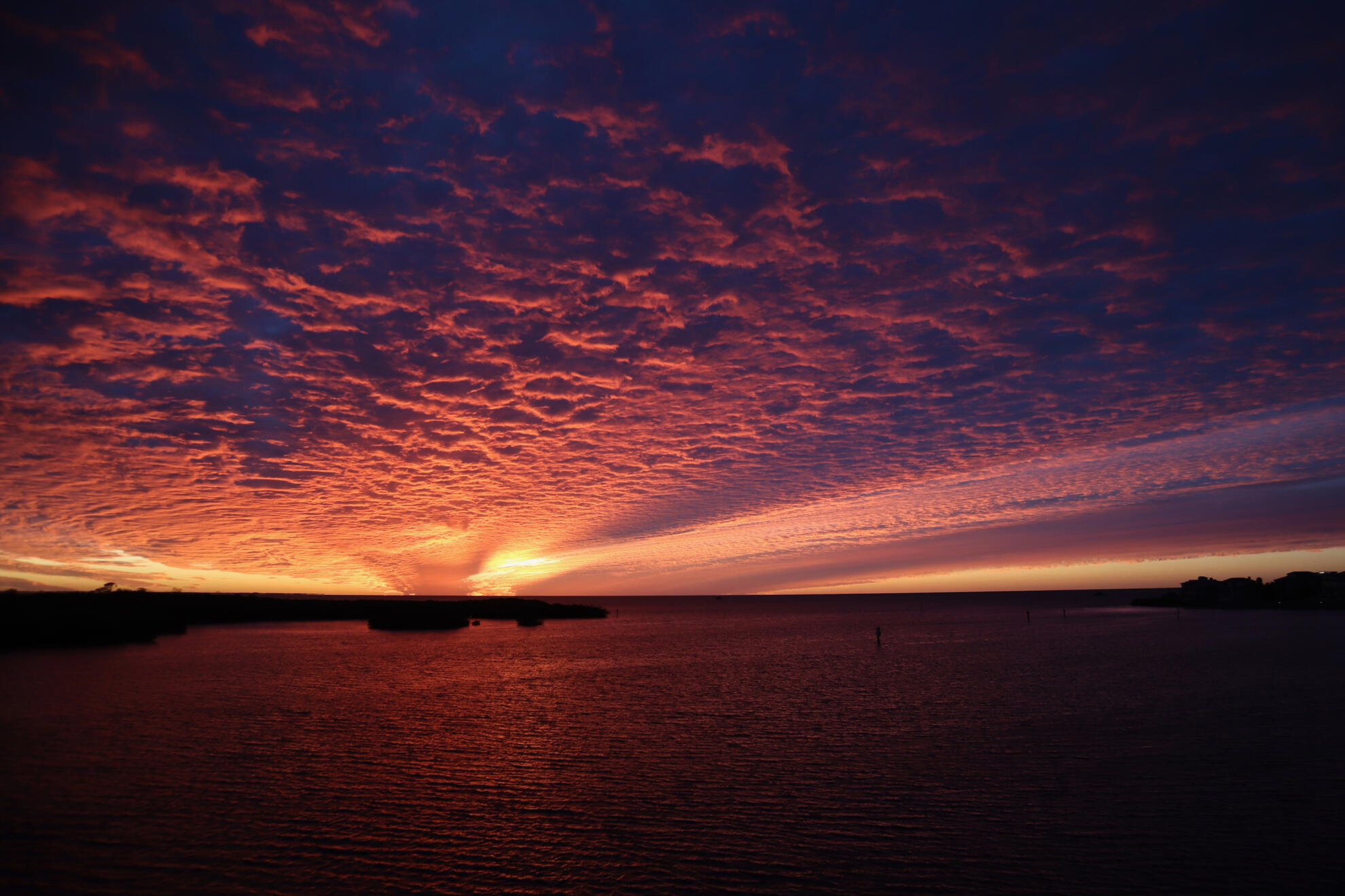 New Port Richey, Florida, US. Shot on Canon EOS M50 Mark I.