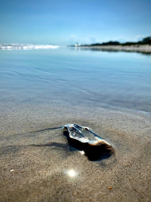 NC, US. Shot on iPhone XR.