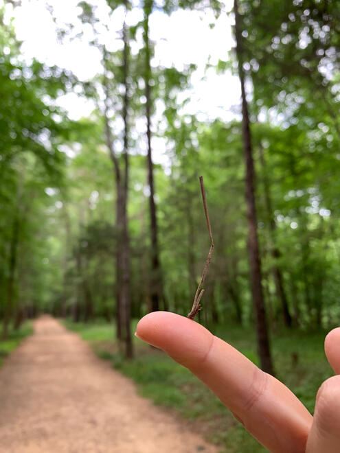 NC, US. Shot on iPhone XR.