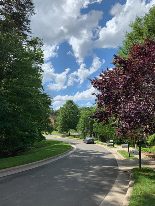 NC, US. Shot on iPhone XR.