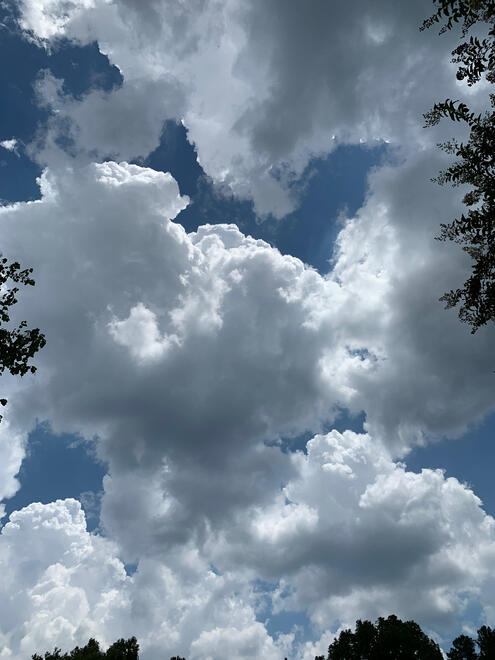 NC, US. Shot on iPhone XR.