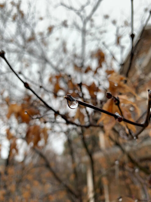 NC, US. Shot on iPhone XR.