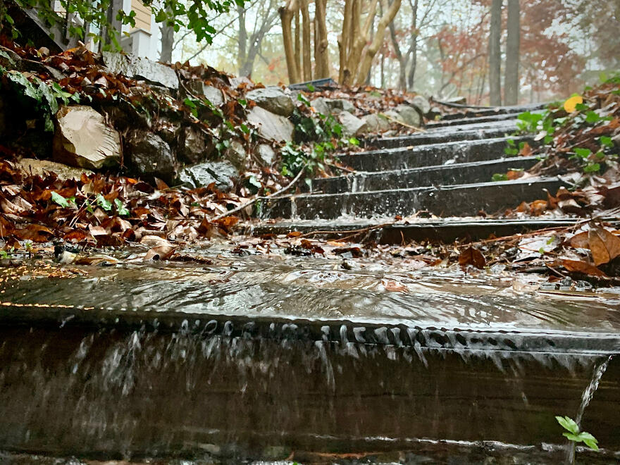 NC, US. Shot on iPhone XR.