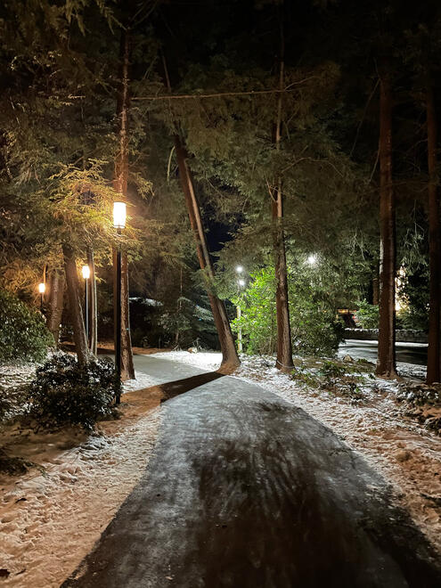 Asheville, NC, US. Shot on iPhone 12 mini.