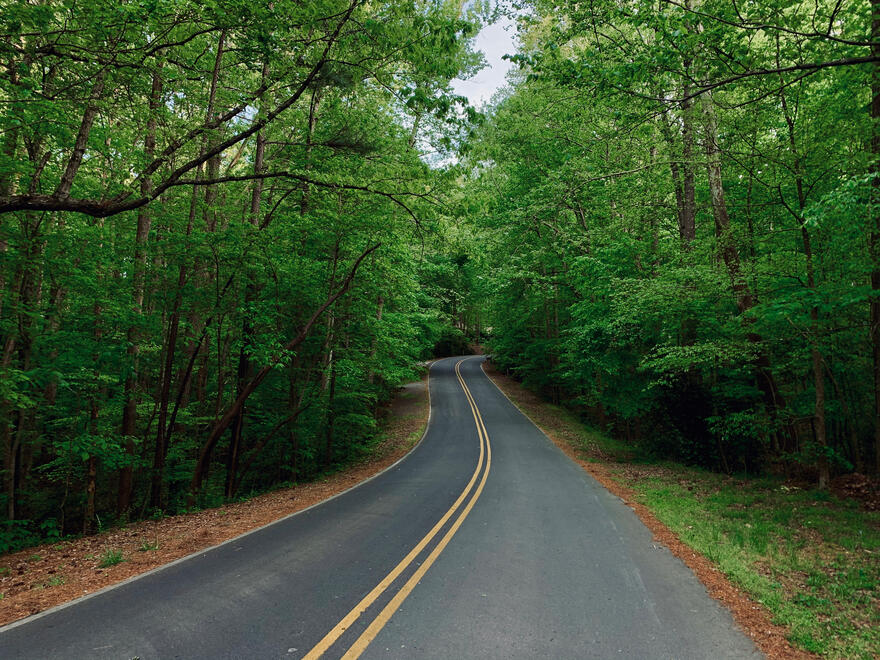 NC, US. Shot on iPhone XR.