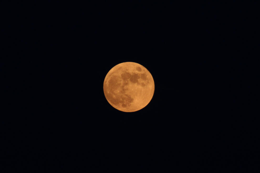 NC, US. Shot on Canon EOS Rebel T6.