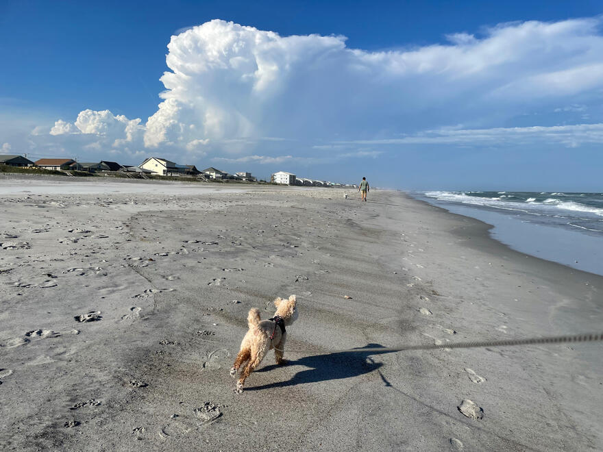 NC, US. Shot on iPhone 12 mini.