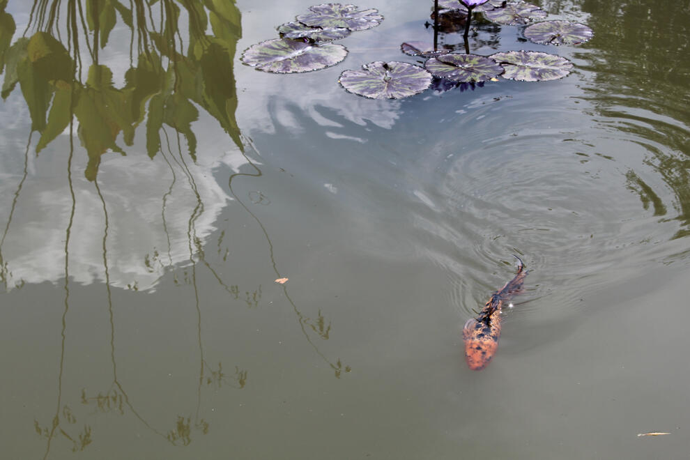 Asheville, NC, US. Shot on Canon EOS Rebel T6.