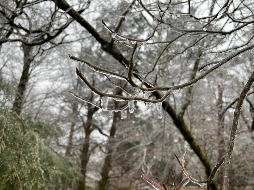 NC, US. Shot on iPhone 12 mini.