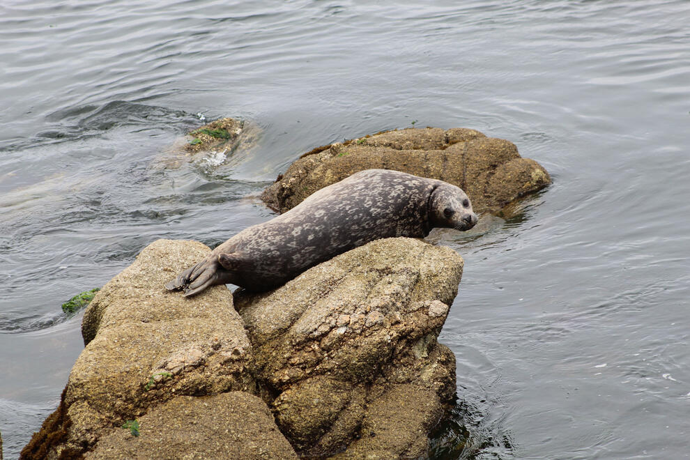 Monterey, California, US. Shot on Canon EOS Rebel T6.