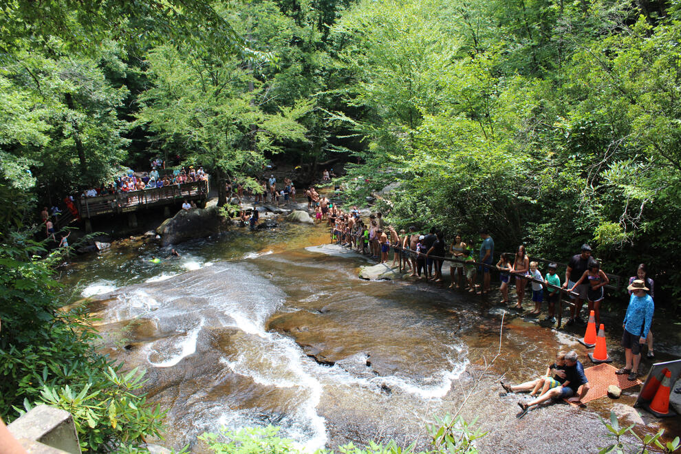 Pisgah National Forest, NC, US. Shot on Canon EOS Rebel T6.