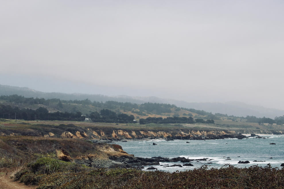 Pescadero, California, US. Shot on Canon EOS Rebel T6.