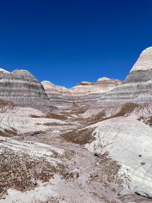 Petrified Forest National Park, Arizona, US. Shot on iPhone 12 mini.