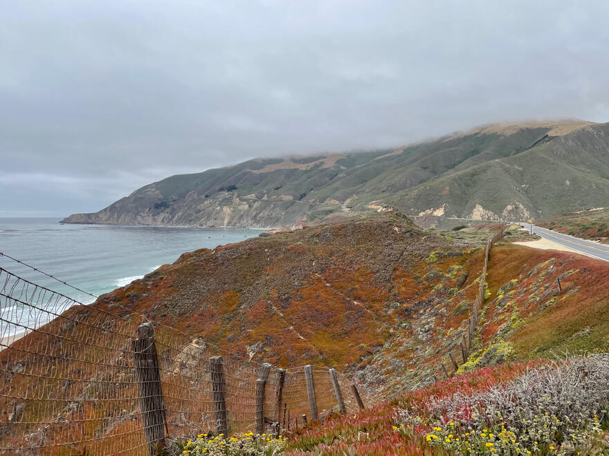 Big Sur, California, US. Shot on iPhone 12 mini.