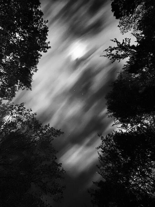 NC, US. Shot on iPhone 12 mini.