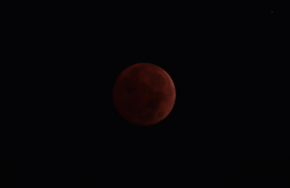 NC, US. Shot on Canon EOS M50 Mark I.