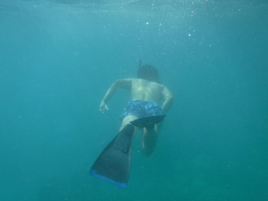 Kealakekua Bay, Hawai'i, US. Shot on FinePix XP135.