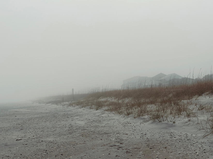 NC, US. Shot on iPhone 14 Pro.