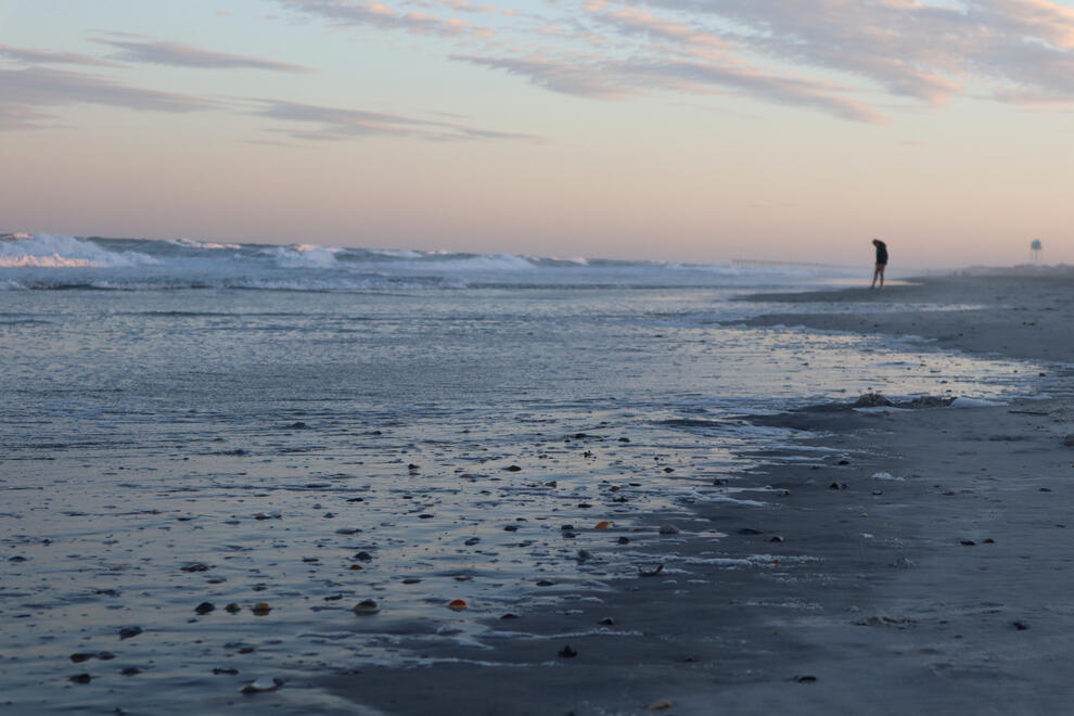 NC, US. Shot on Canon EOS M50 Mark I.