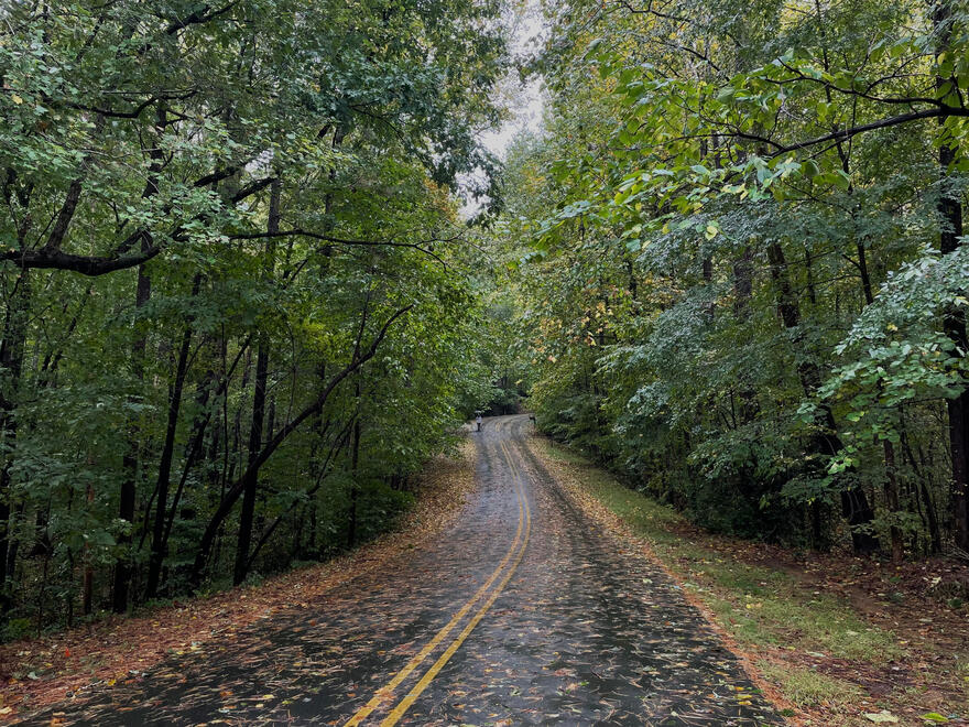 NC, US. Shot on iPhone 12 mini.