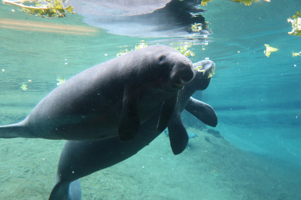 Tampa, Florida, US. Shot on Canon EOS M50 Mark I.