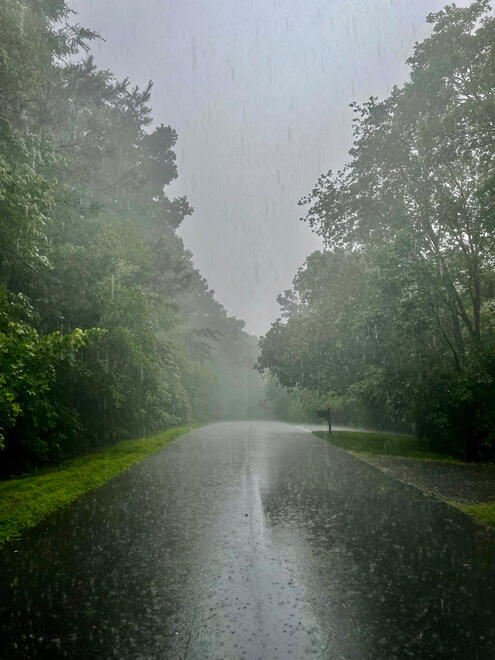 NC, US. Shot on iPhone 12 mini.