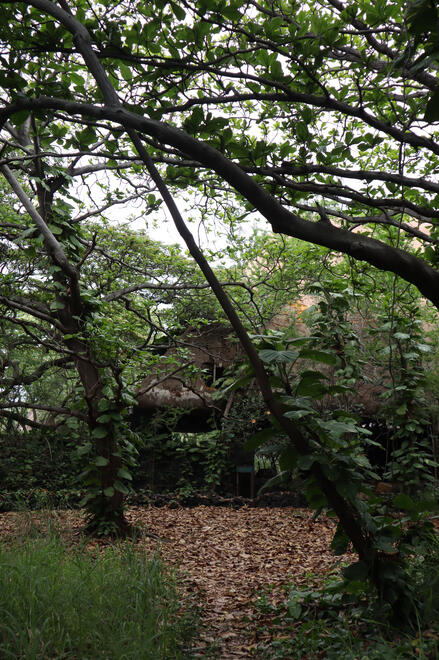 Punalu&#39;u, Hawai&#39;i, US. Shot on Canon EOS M50 Mark I.