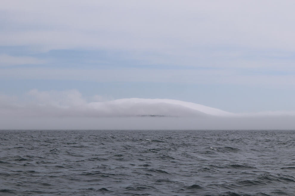 Bar Harbor, Maine, US. Shot on Canon EOS M50 Mark I.