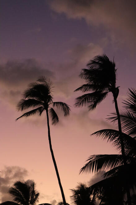 Poipu, Hawai'i, US. Shot on Canon EOS M50 Mark I.