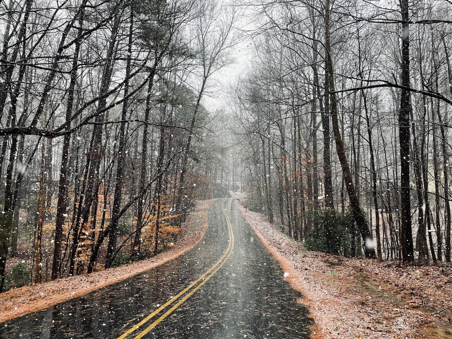 NC, US. Shot on iPhone 12 mini.