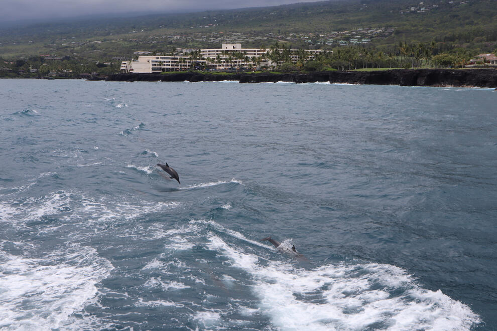 Keauhou, Hawai&#39;i, US. Shot on Canon EOS M50 Mark I.