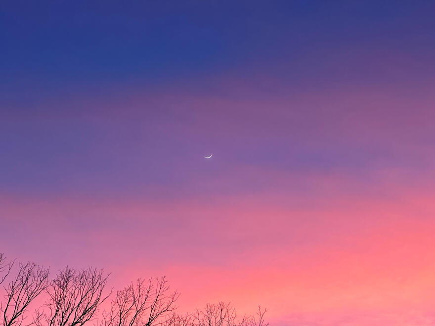 NC, US. Shot on iPhone 14 Pro.