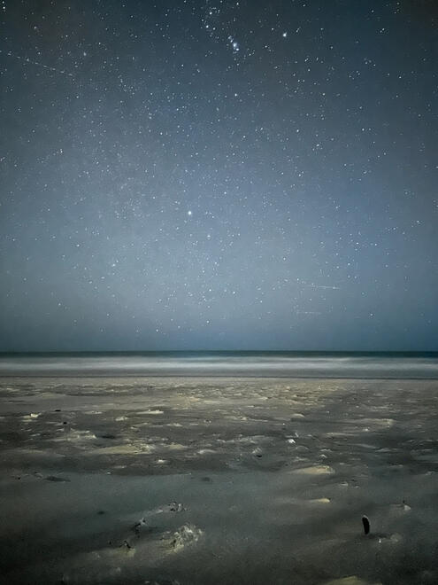 NC, US. Shot on iPhone 14 Pro.