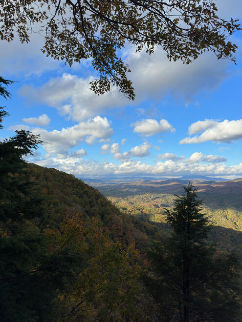 Pisgah National Forest, NC, US. Shot on iPhone 14 Pro.