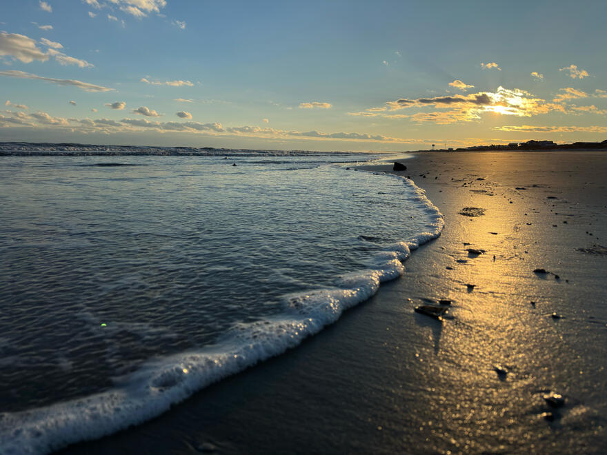 NC, US. Shot on iPhone 14 Pro.