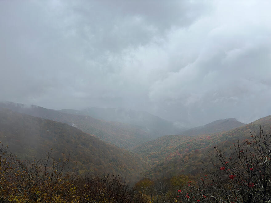 Pisgah National Forest, NC, US. Shot on iPhone 14 Pro.