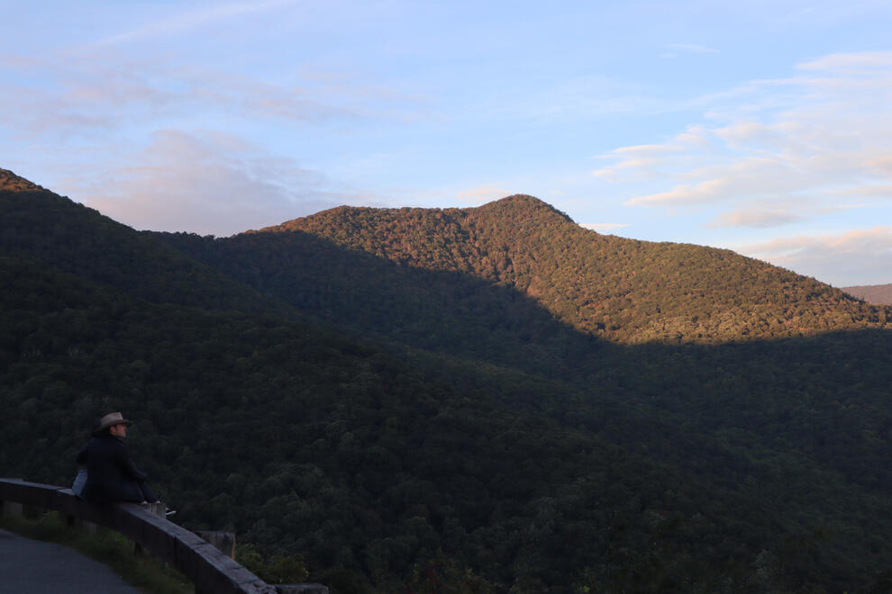Pisgah National Forest, NC, US. Shot on Canon EOS M50 Mark I.